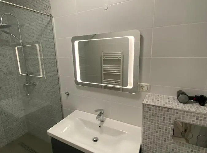 Apartment Dodo House Brasov